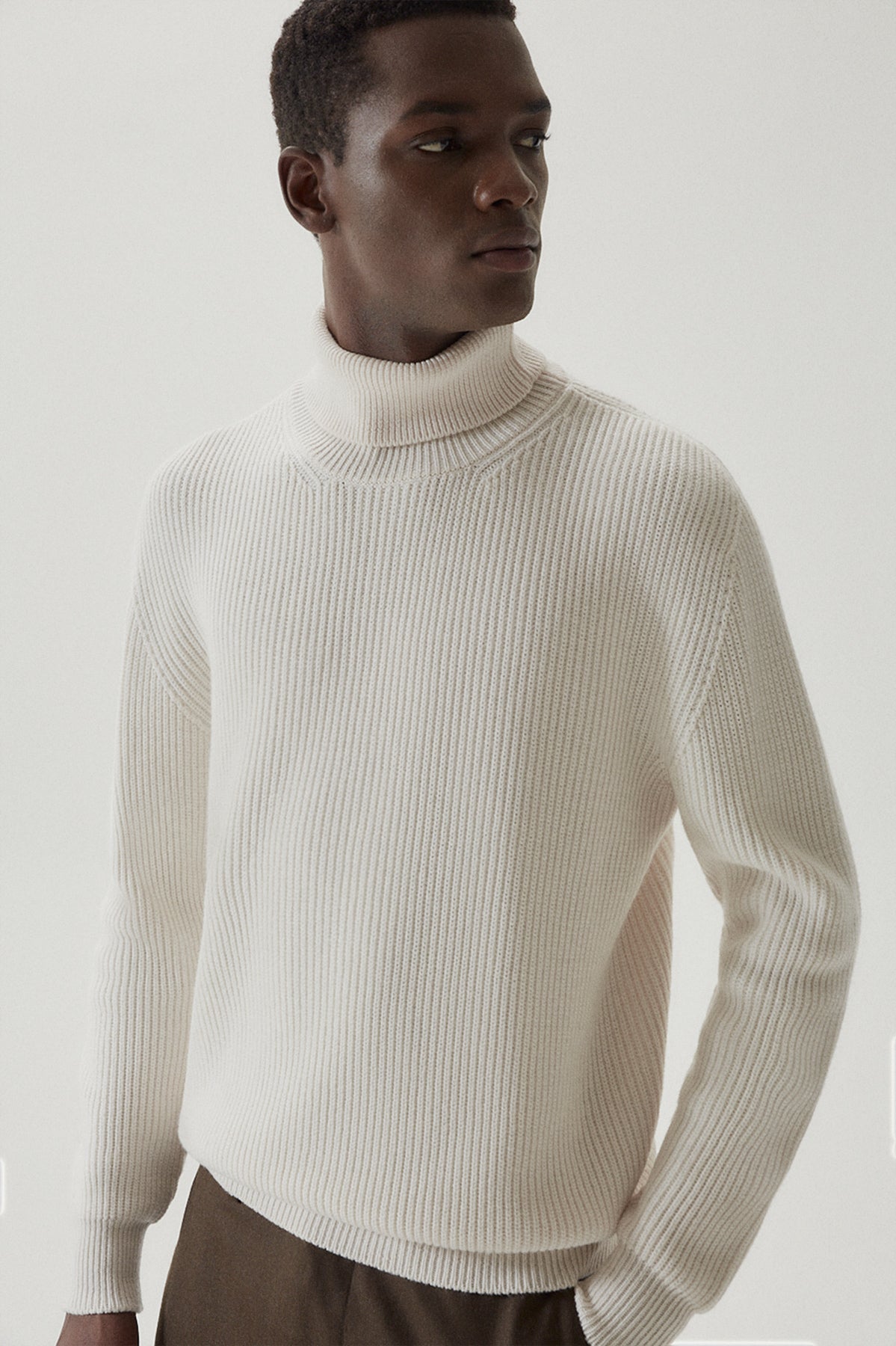 The Wool Turtleneck Sweater