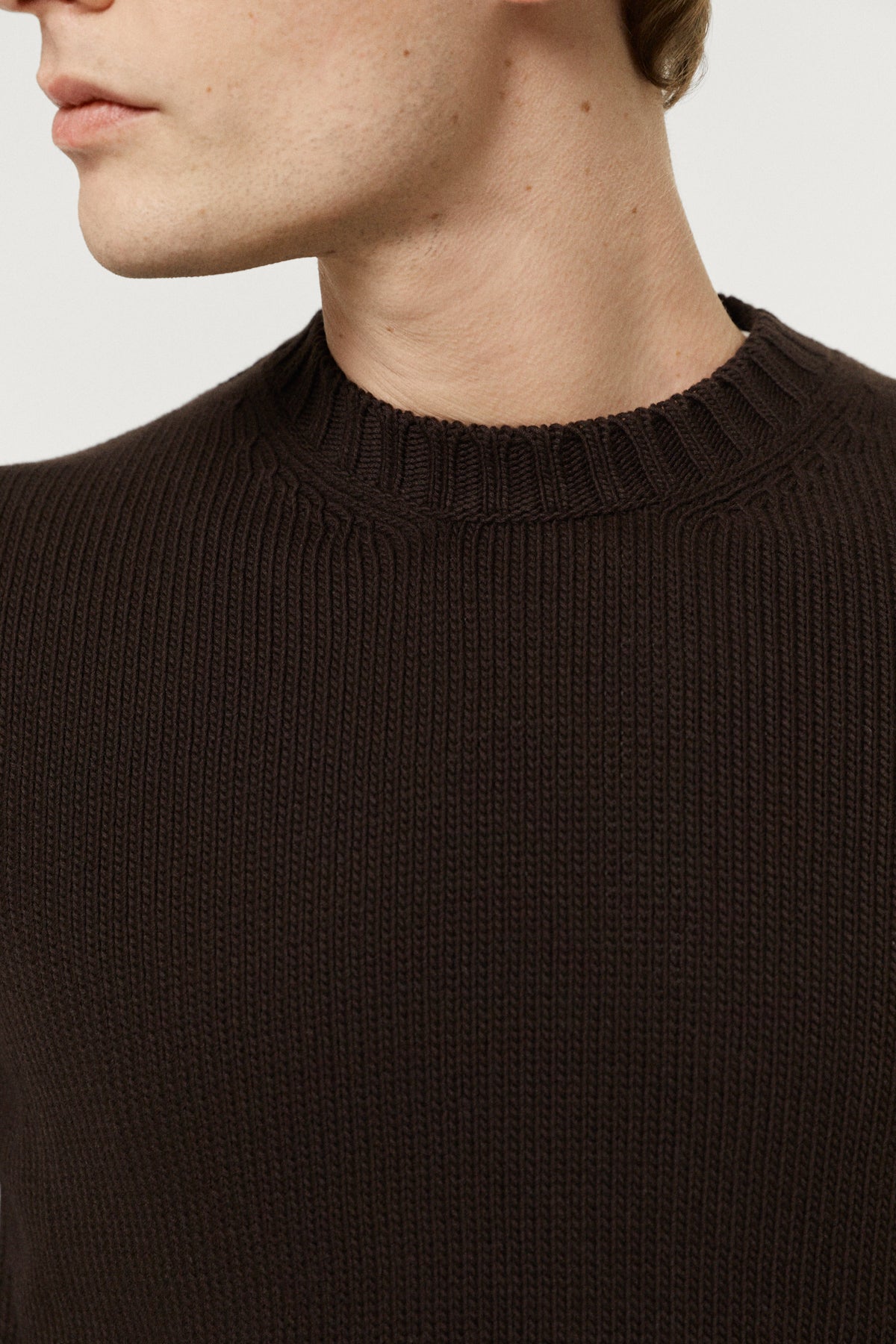 The Organic Cotton Tricot Crewneck brown