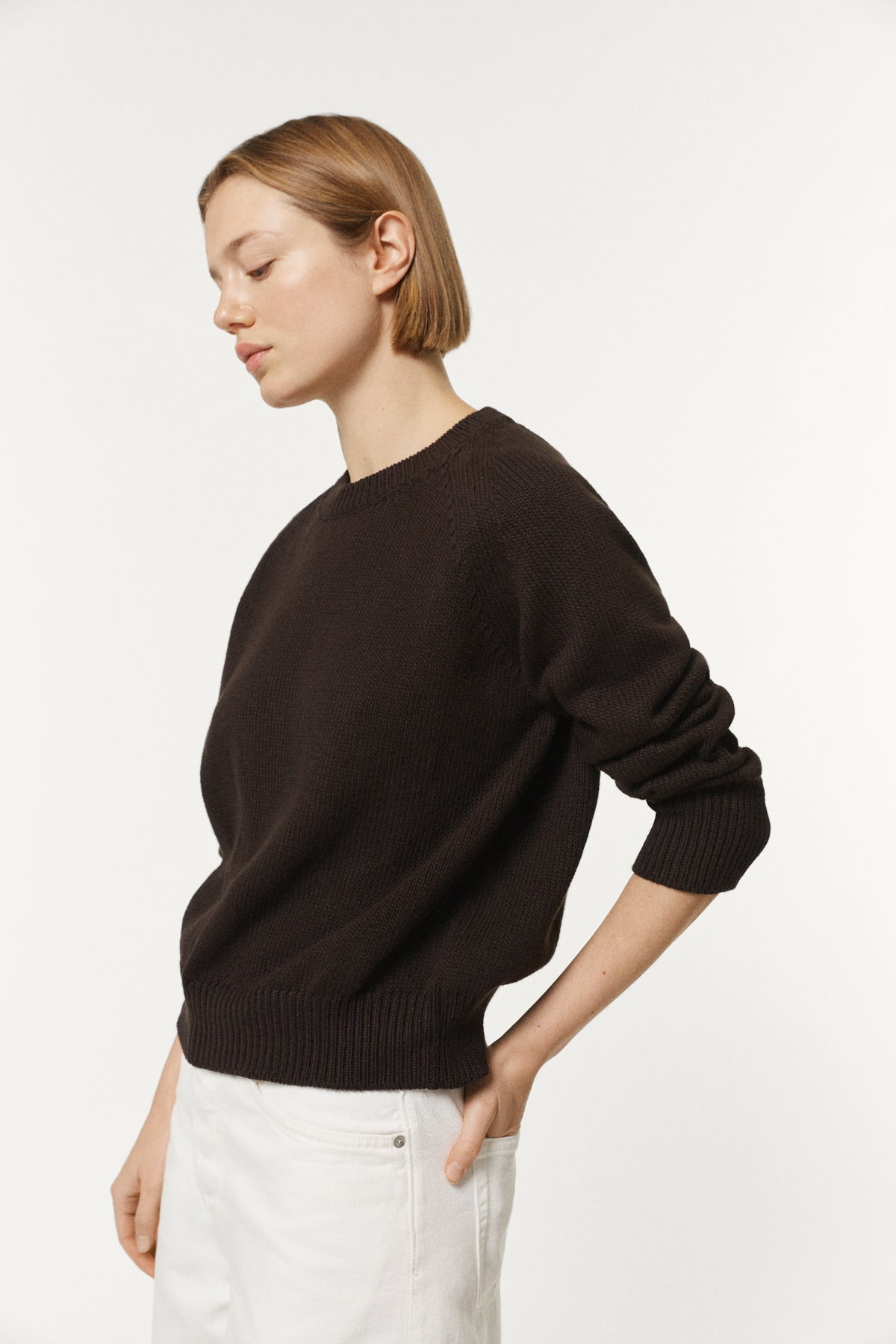 The Organic Cotton Tricot Sweater brown