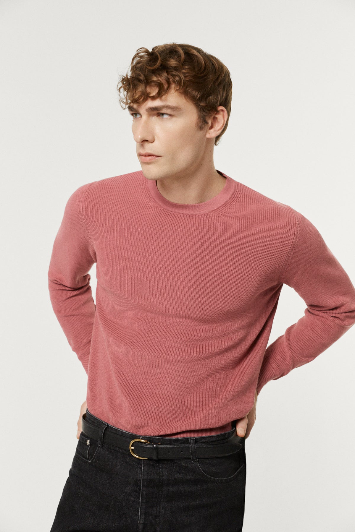 The Organic Cotton Ribbed Sweater Mauve