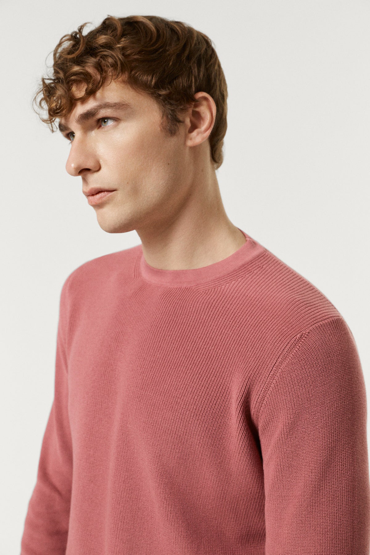 The Organic Cotton Ribbed Sweater Mauve