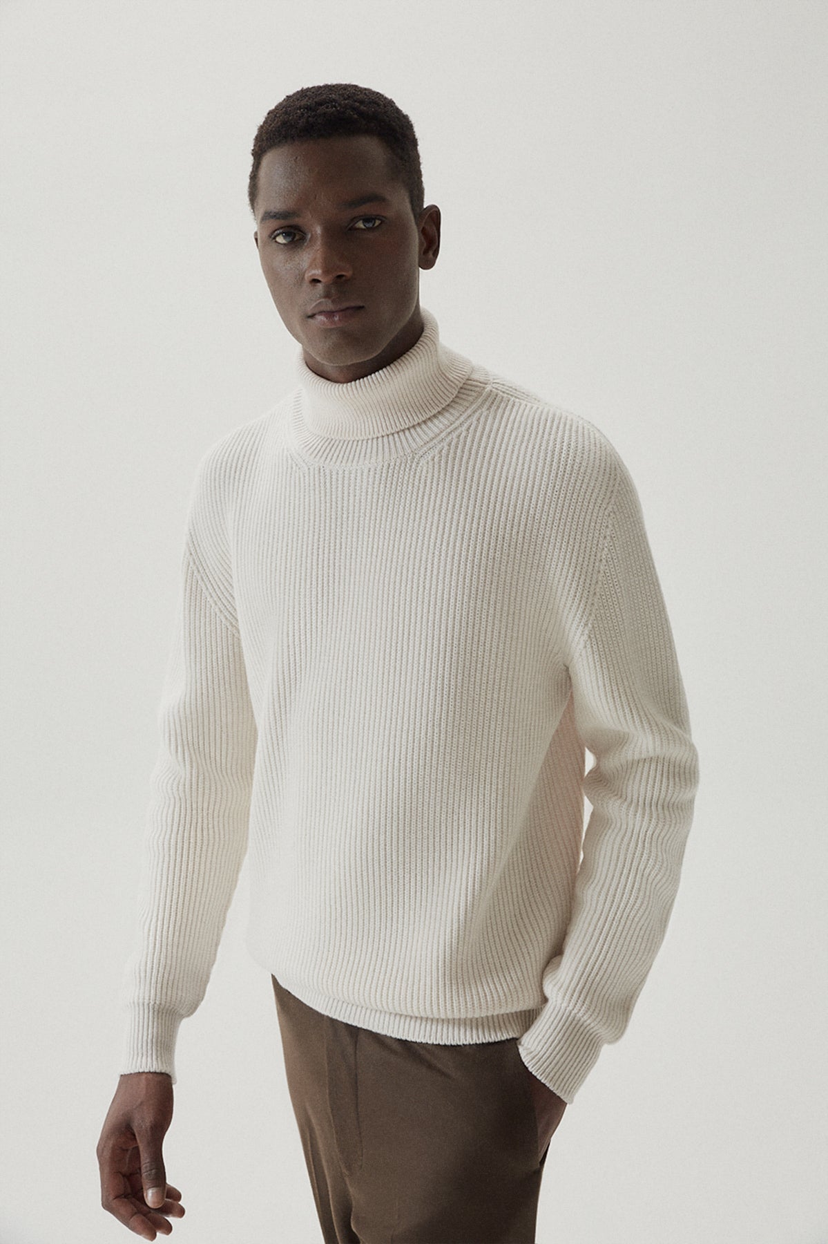 The Wool Turtleneck Sweater