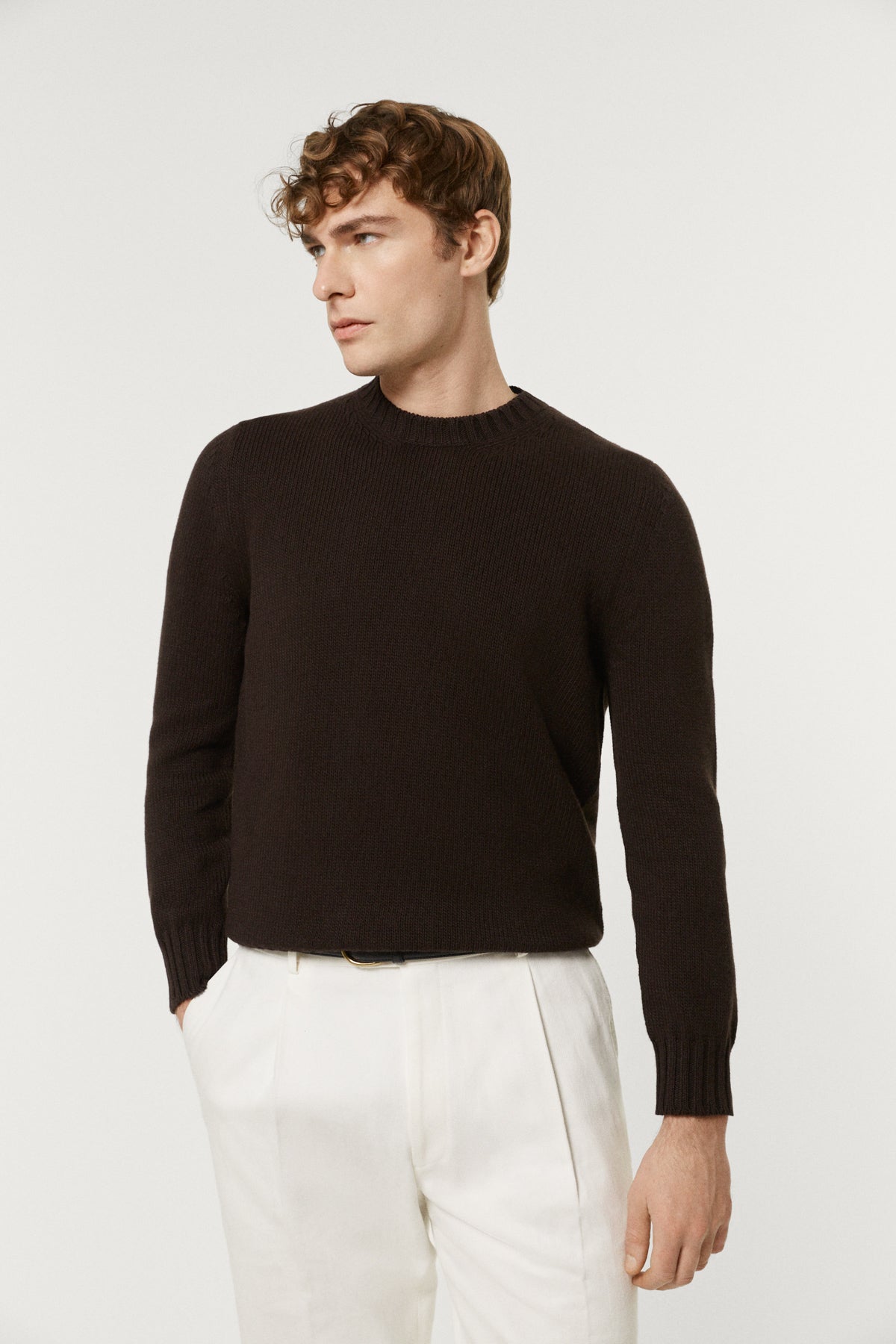 The Organic Cotton Tricot Crewneck  brown
