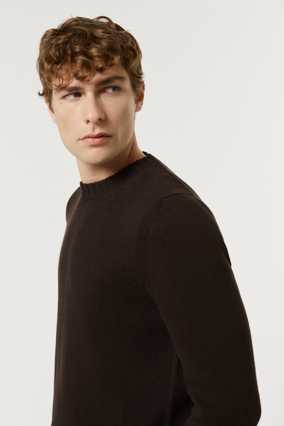 The Organic Cotton Tricot Crewneck  brown