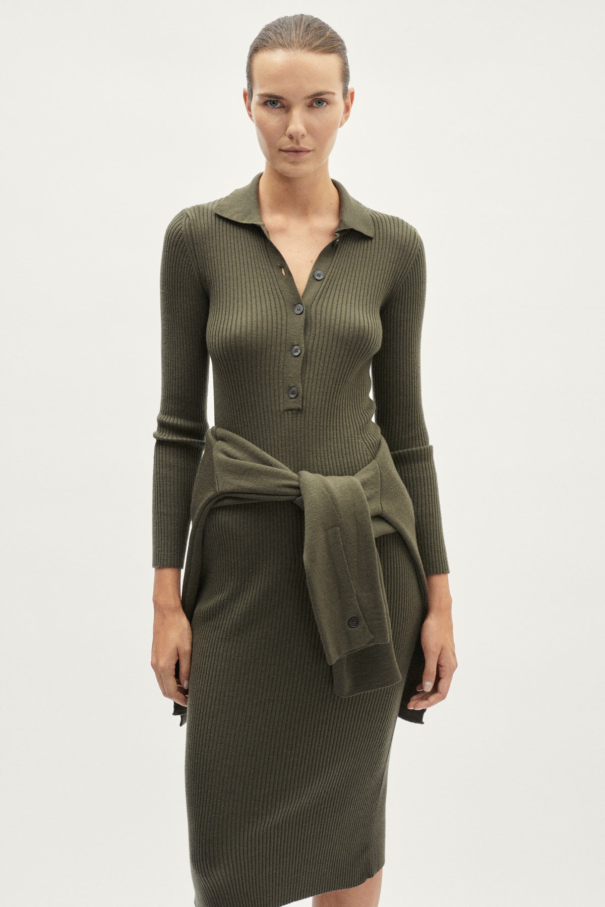 The Merino Wool Ribbed Polo Dress - green