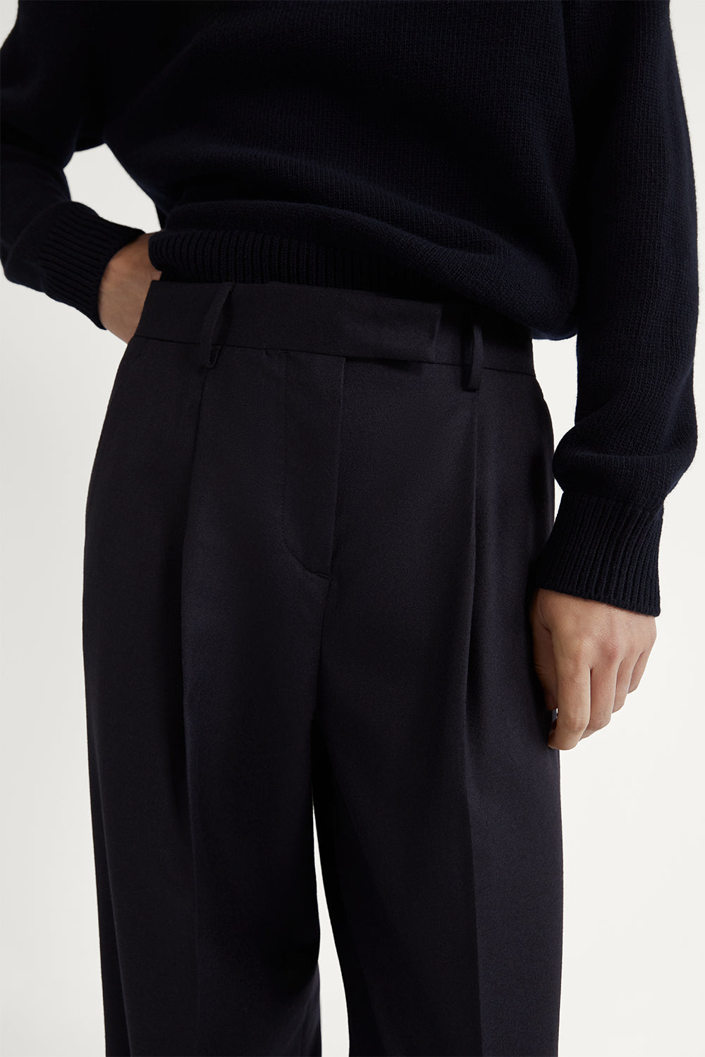 The Flannel Tailored Pants With Pleats Dark Blue