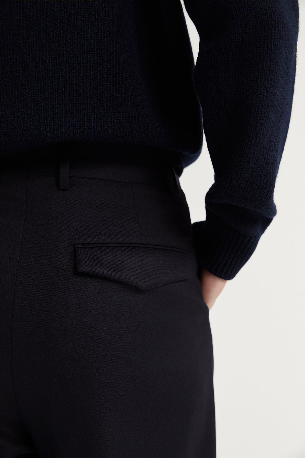 The Flannel Tailored Pants With Pleats Dark Blue