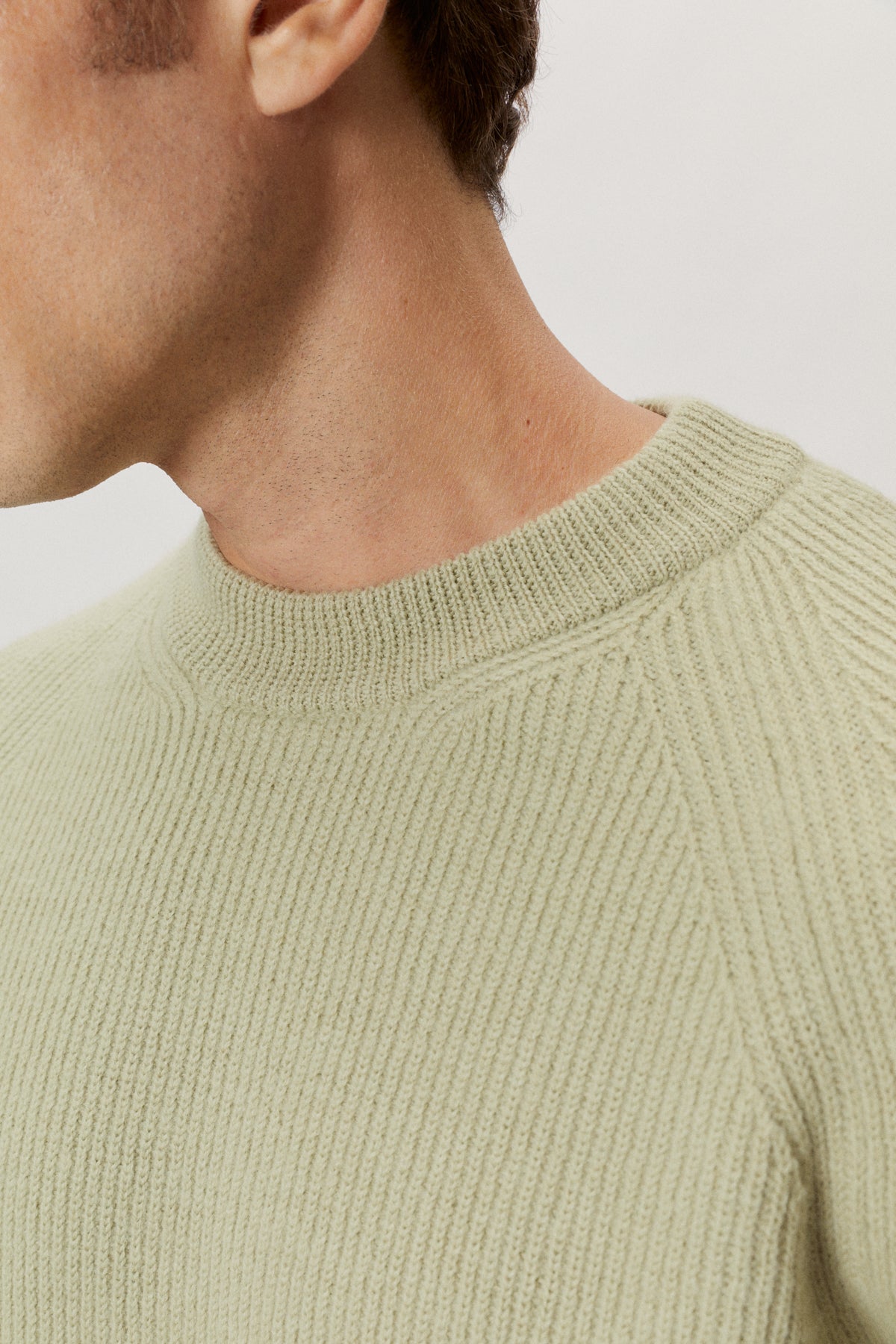 the natural dye crewneck sweater equisetum green